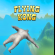 Flying Kong