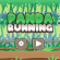 Panda Running